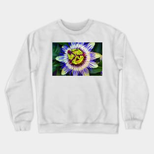 Passion Flower Summer Flowering Plant Crewneck Sweatshirt